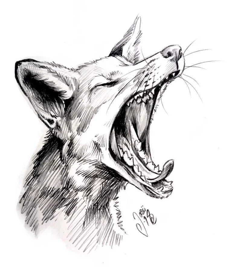 Sketches (93) - Sketches