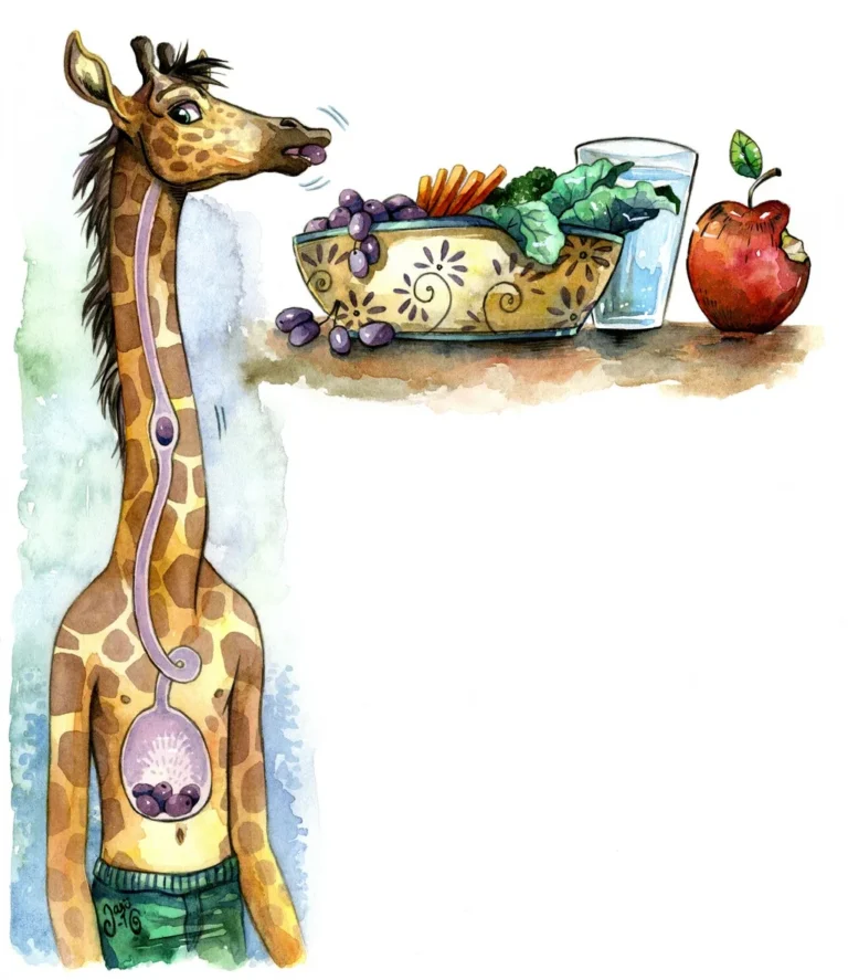 Page 2 1 - Book Illustrations