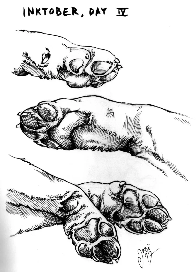 Sketches (33) - Sketches