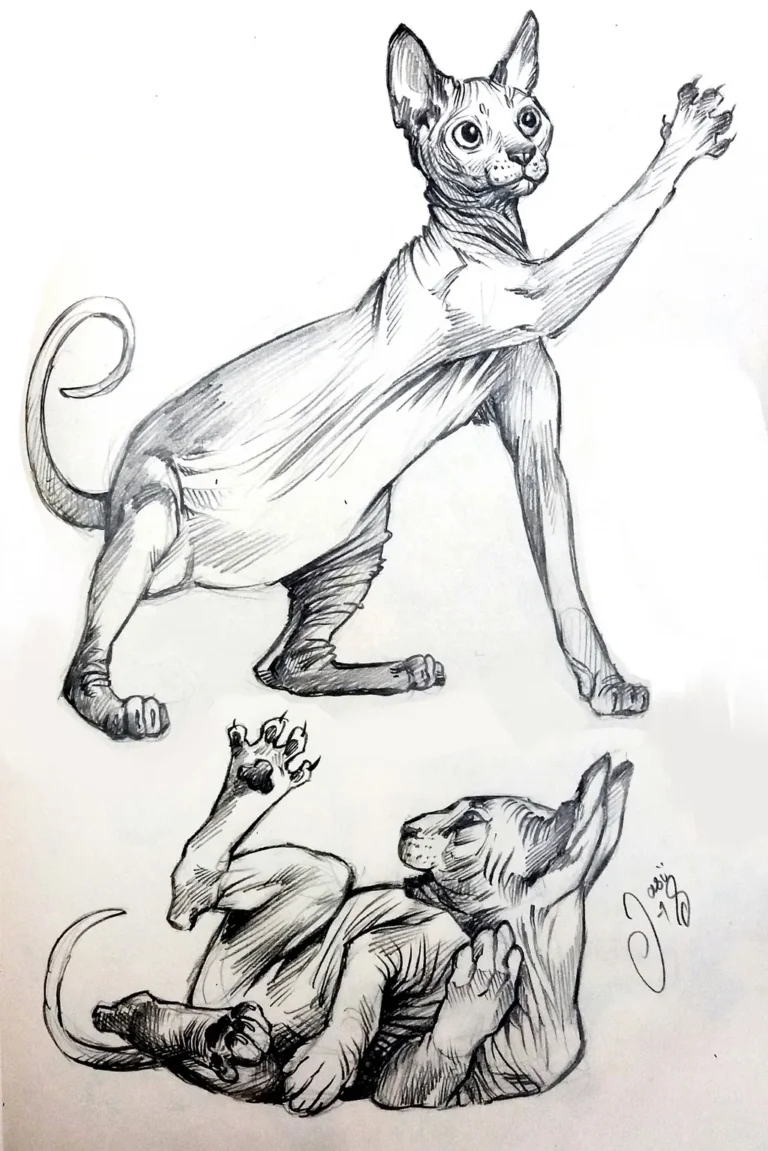Sketches (90) - Sketches