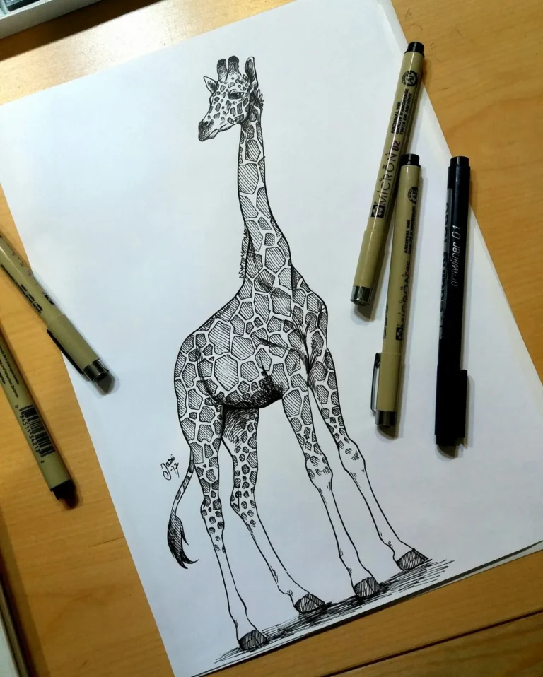 Sketches (27) - Sketches