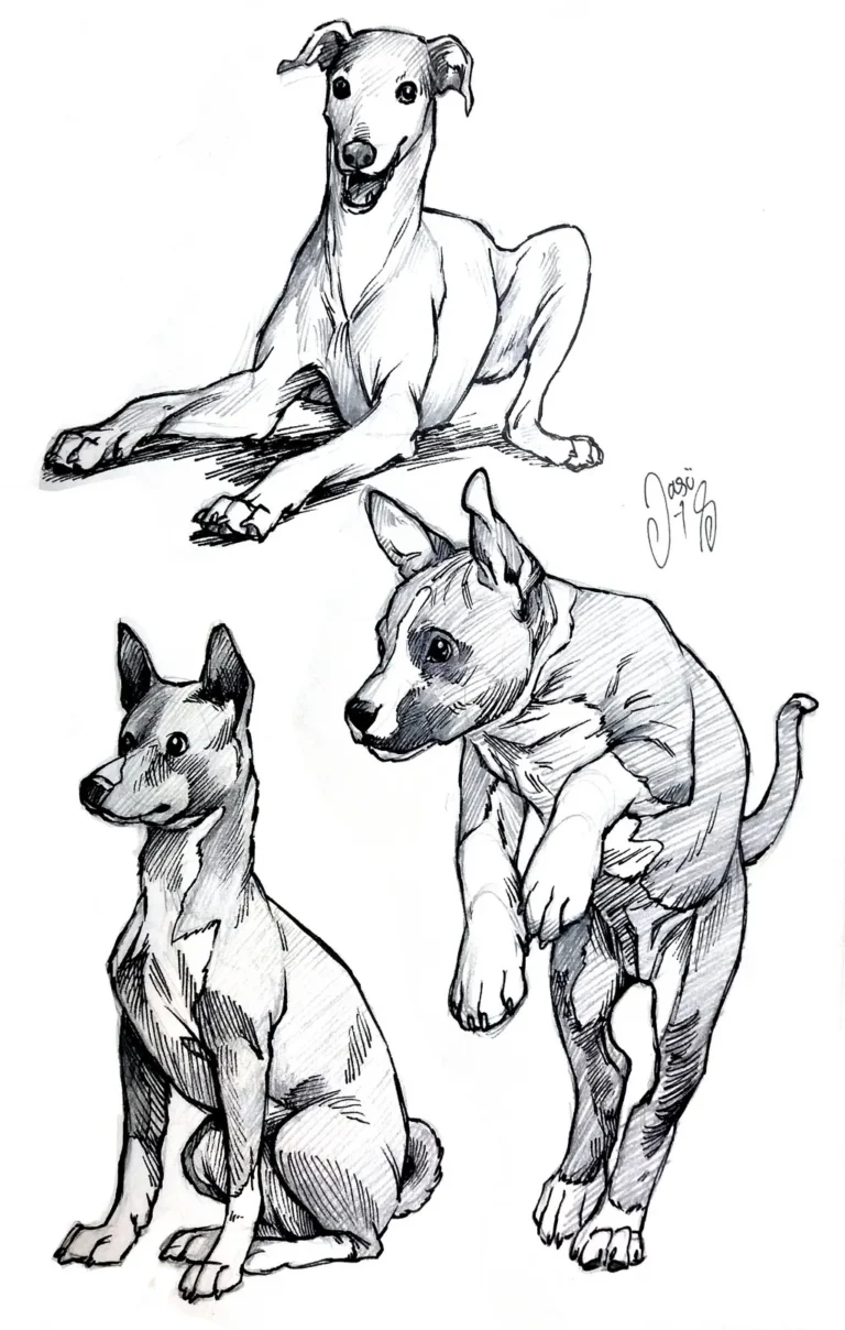 Sketches (104) - Sketches