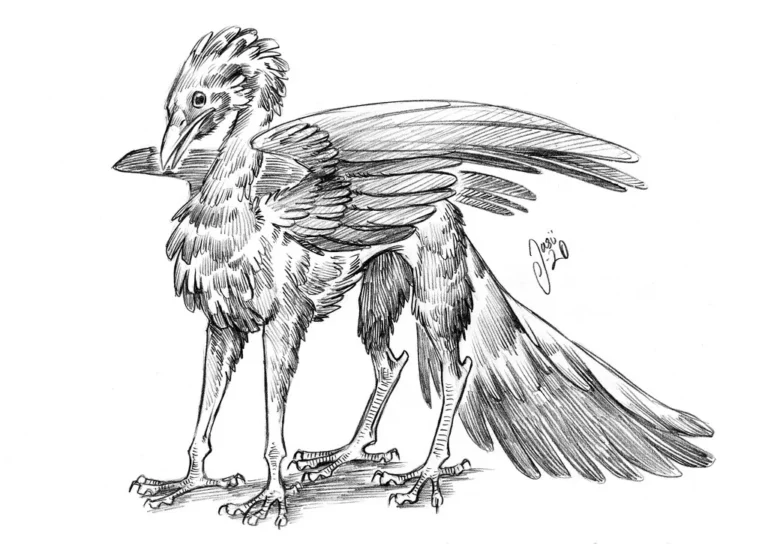 Sketches (169) - Sketches