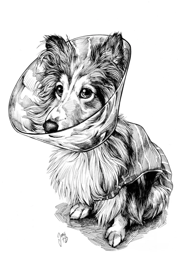 Commissions - Jasu Wonder World gallery