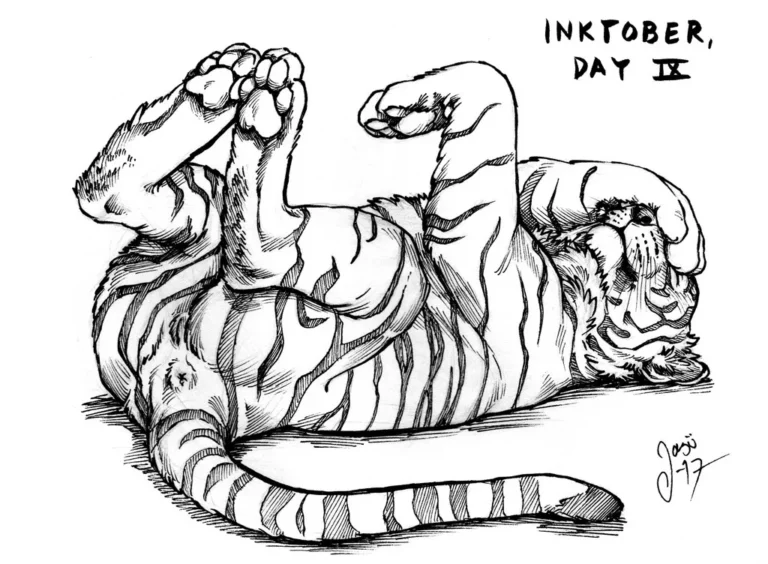 Sketches (29) - Sketches