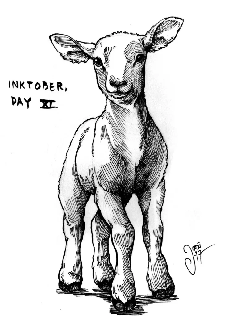 Sketches (38) - Sketches