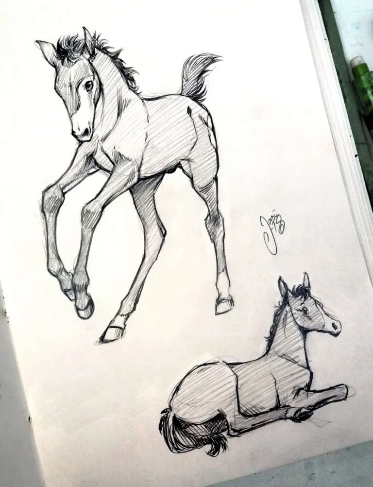 Sketches (78) - Sketches