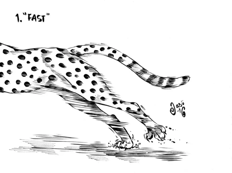 Sketches (7) - Sketches