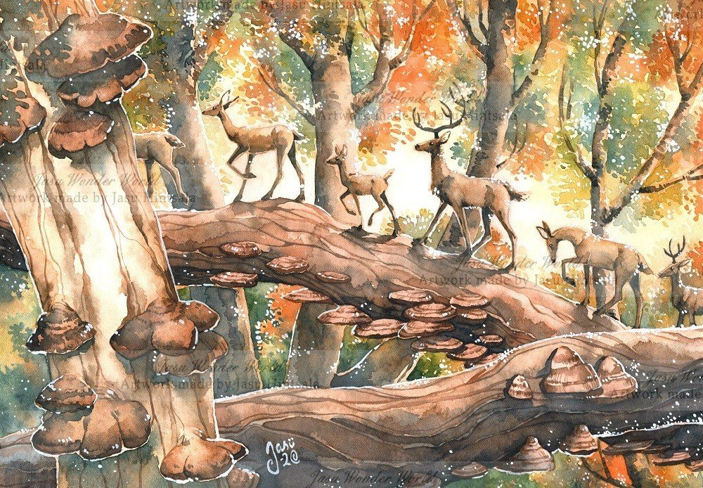 JWW 2021 Calendar - June, July, August and September
