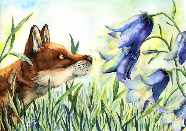 July - Calendar Illustrations