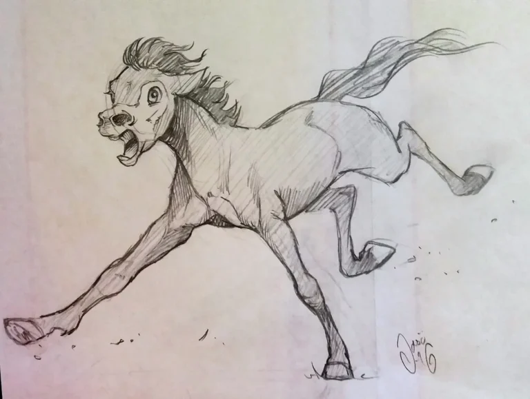 Sketches (26) - Sketches