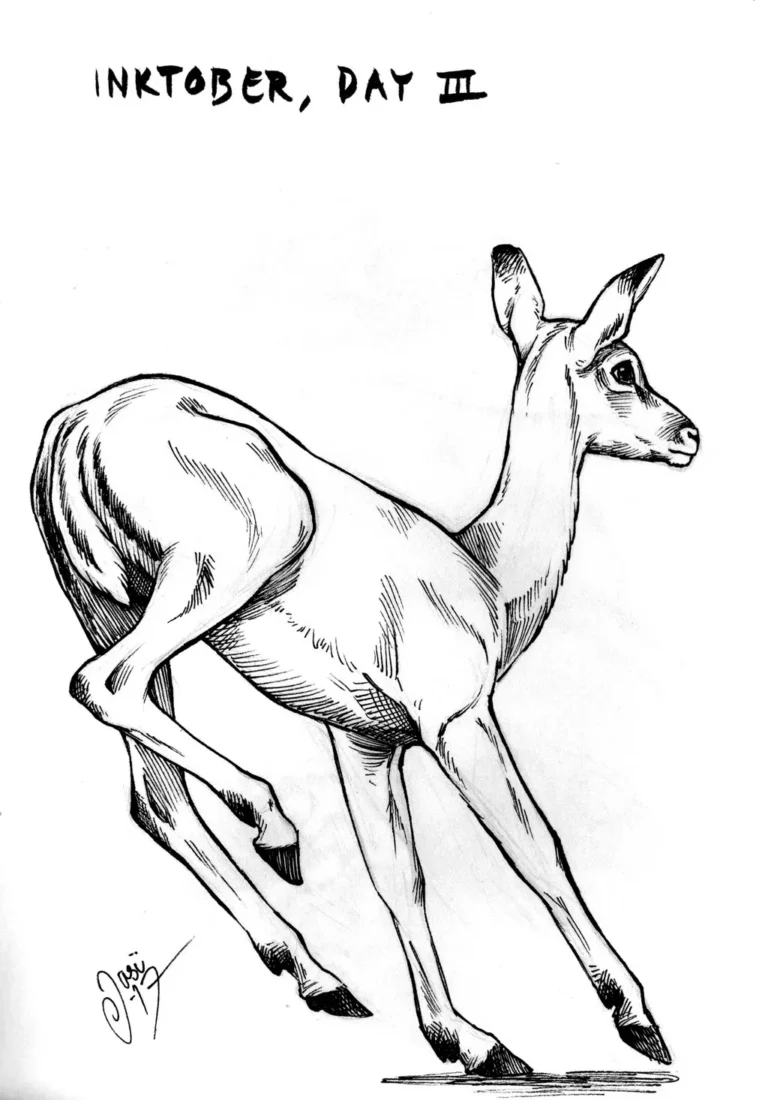 Sketches (34) - Sketches