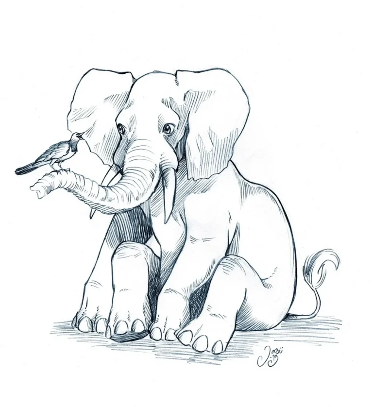 Sketches (3) - Sketches
