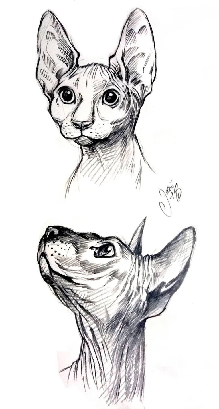 Sketches (91) - Sketches