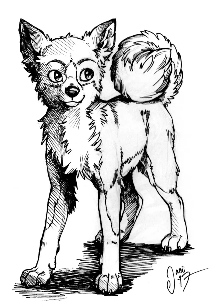 Sketches (42) - Sketches