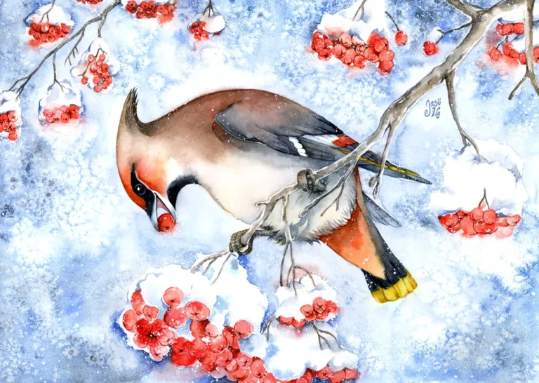 11 November - Calendar Illustrations