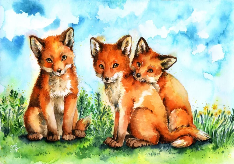 June - Calendar Illustrations