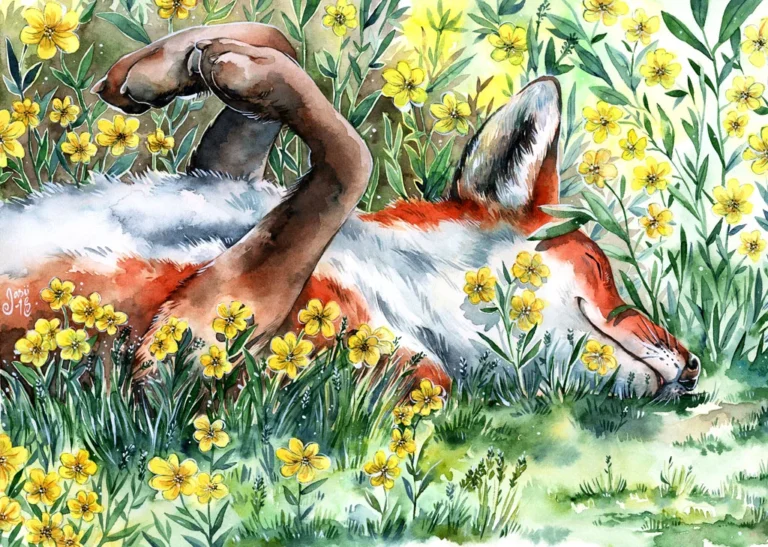 May - Calendar Illustrations