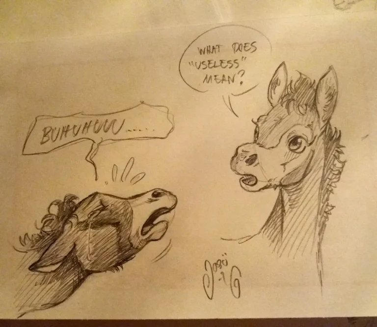 Sketches (22) - Sketches