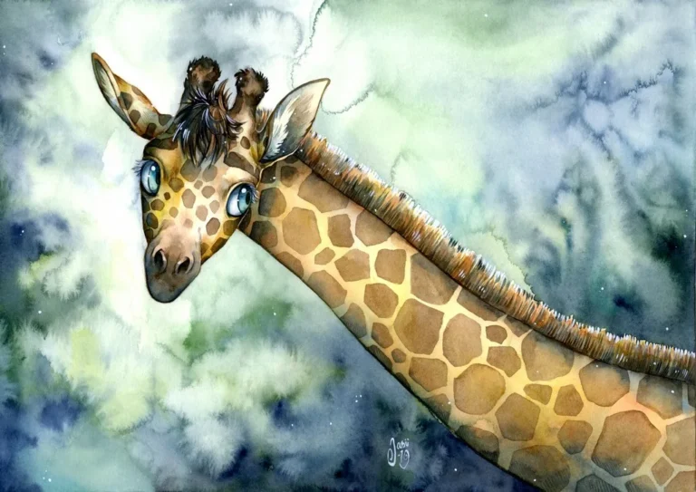 Cover - Book Illustrations