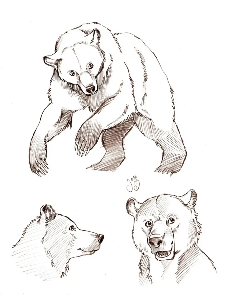 Sketches (1) - Sketches