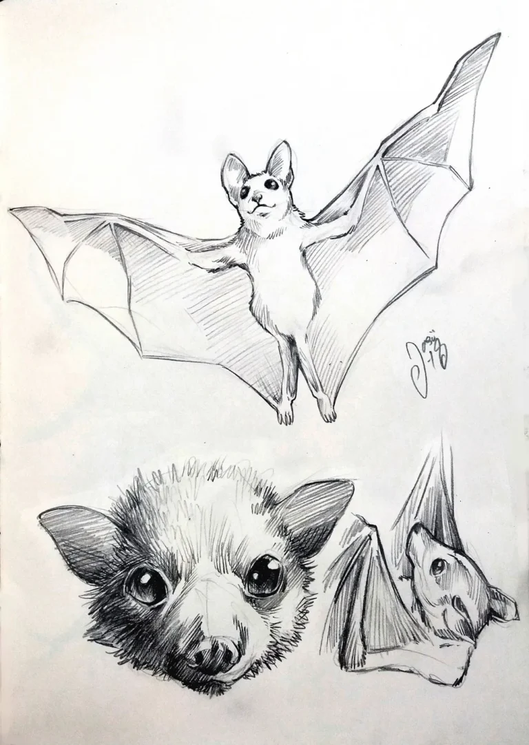 Sketches (84) - Sketches