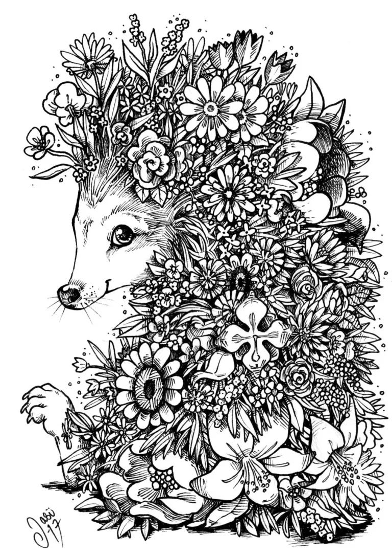 Sketches (36) - Sketches
