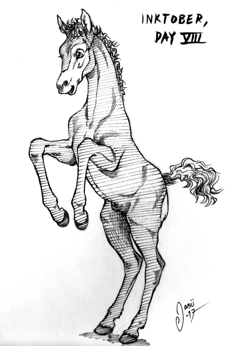 Sketches (30) - Sketches