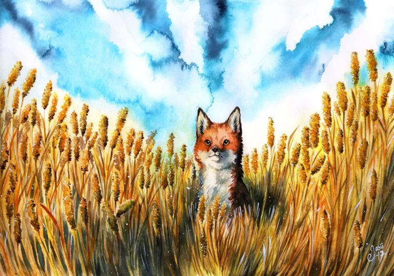 August - Calendar Illustrations