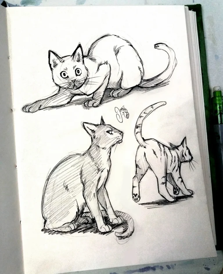 Sketches (77) - Sketches