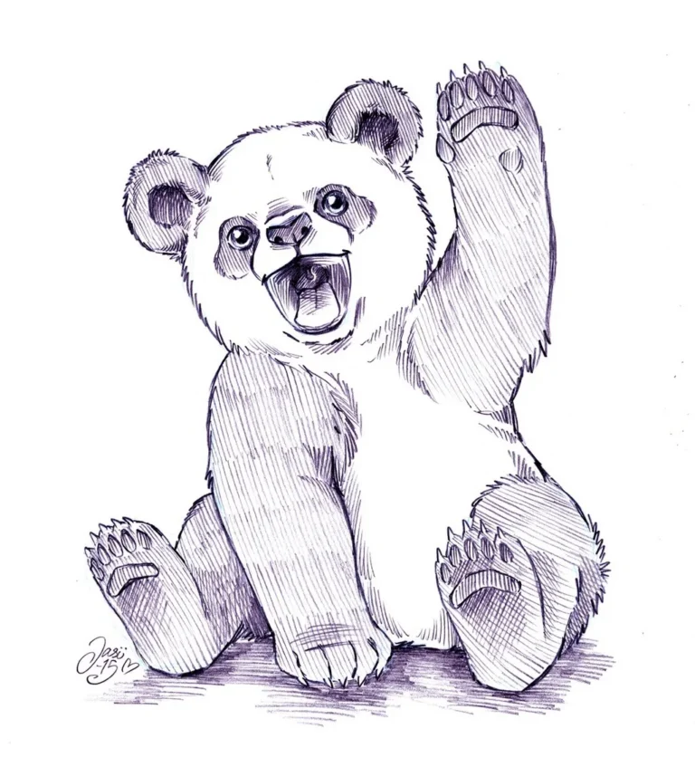 Sketches (5) - Sketches