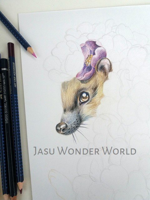 FLOWER HEDGEHOG - COMMISSION IN PROGRESS